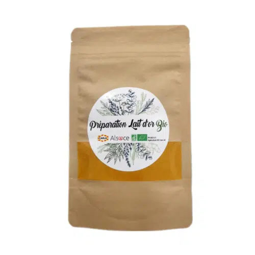 Préparation lait d'or Bio - 40g