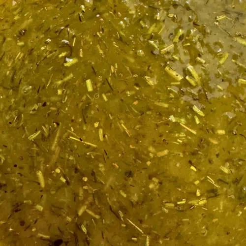 Maribio Thym-citron - 4 kg
