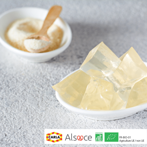 Gelatine 210 BLOOM Bio - 1 kg