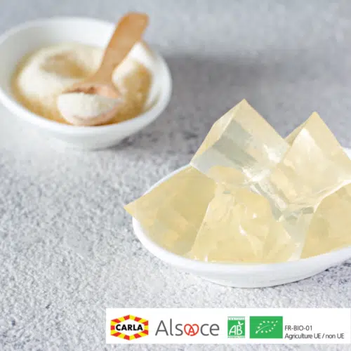 Gelatine 210 BLOOM Bio - 1 kg