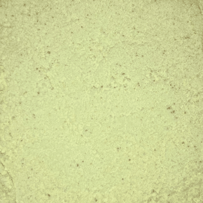 Fond de sauce blanc