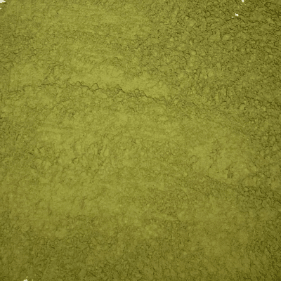 Livèche moulue BIO - 1 kg