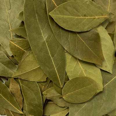 Laurier feuilles BIO