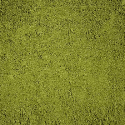 Estragon poudre BIO - 1 kg