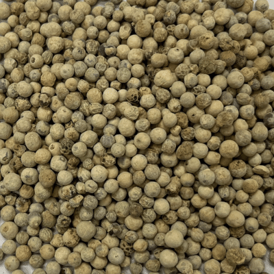Poivre blanc entier TT BIO - 1 kg