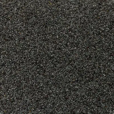 Pavot bleu - 1kg