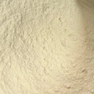 Sauce béchamel à chaud - 1 kg à 10 kg
