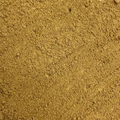 Gingembre moulu TT BIO