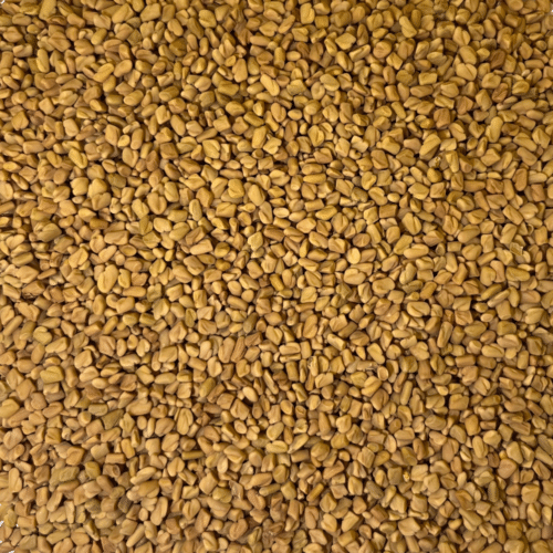 Fenugrec graines BIO - 1 kg