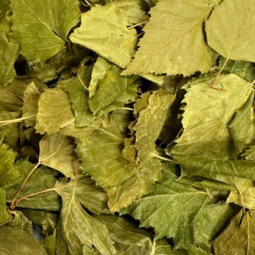Bouleau feuilles entières BIO - 500g