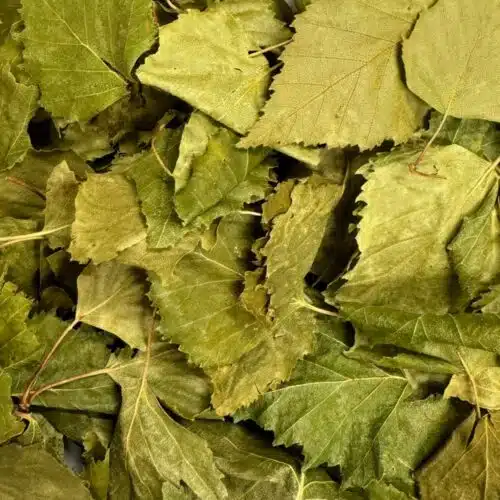 Bouleau feuilles entières BIO - 500g