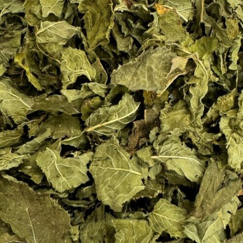 Menthe verte FR BIO - 500g