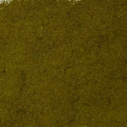 Ail des Ours en poudre/moulu - 500 g à 1 kg