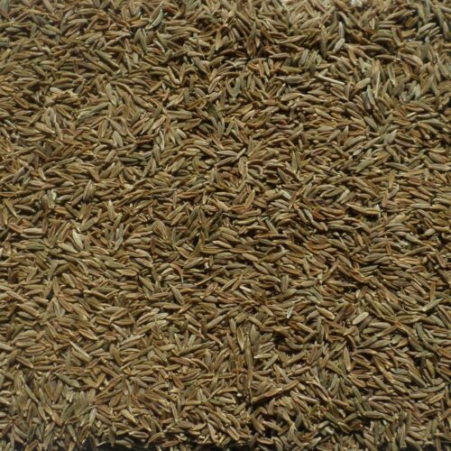 Cumin entier BIO - 1 kg