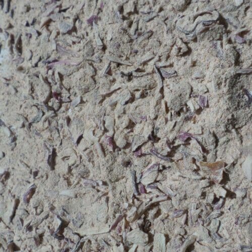 Carlafraiche échalote- 1kg