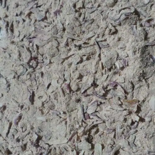 Carlafraiche échalote- 1kg