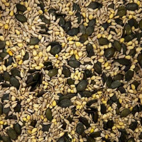 Mélange de graines pour salades - 1kg
