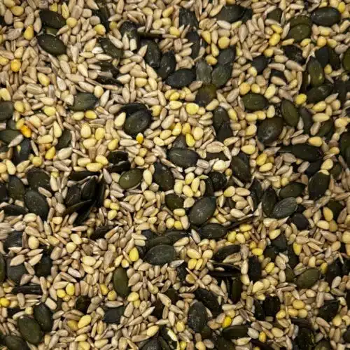 Mélange de graines pour salades - 1kg
