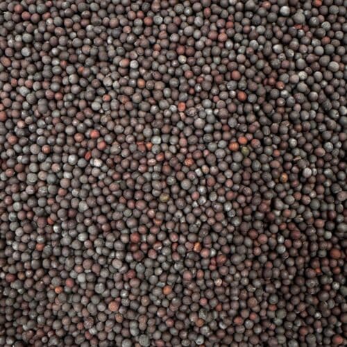 Moutarde graines brunes - 1kg
