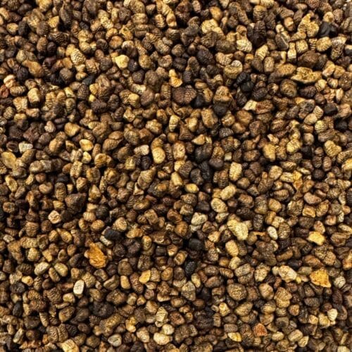 Cardamome graines noires - 1 kg