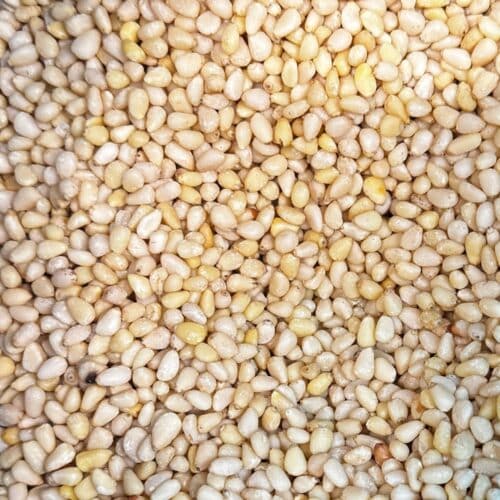 Pignons de pin - 1kg