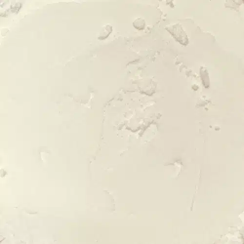 Pomme de terre poudre - 1 kg