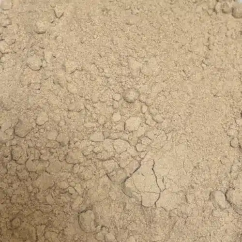 Livèche racine poudre - 1 kg