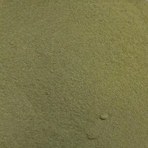 Poireau vert/blanc poudre - 1 kg