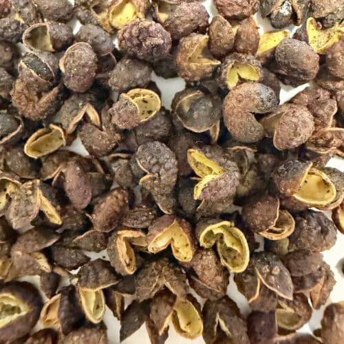 Baies de Timut - 200 g à 1 kg